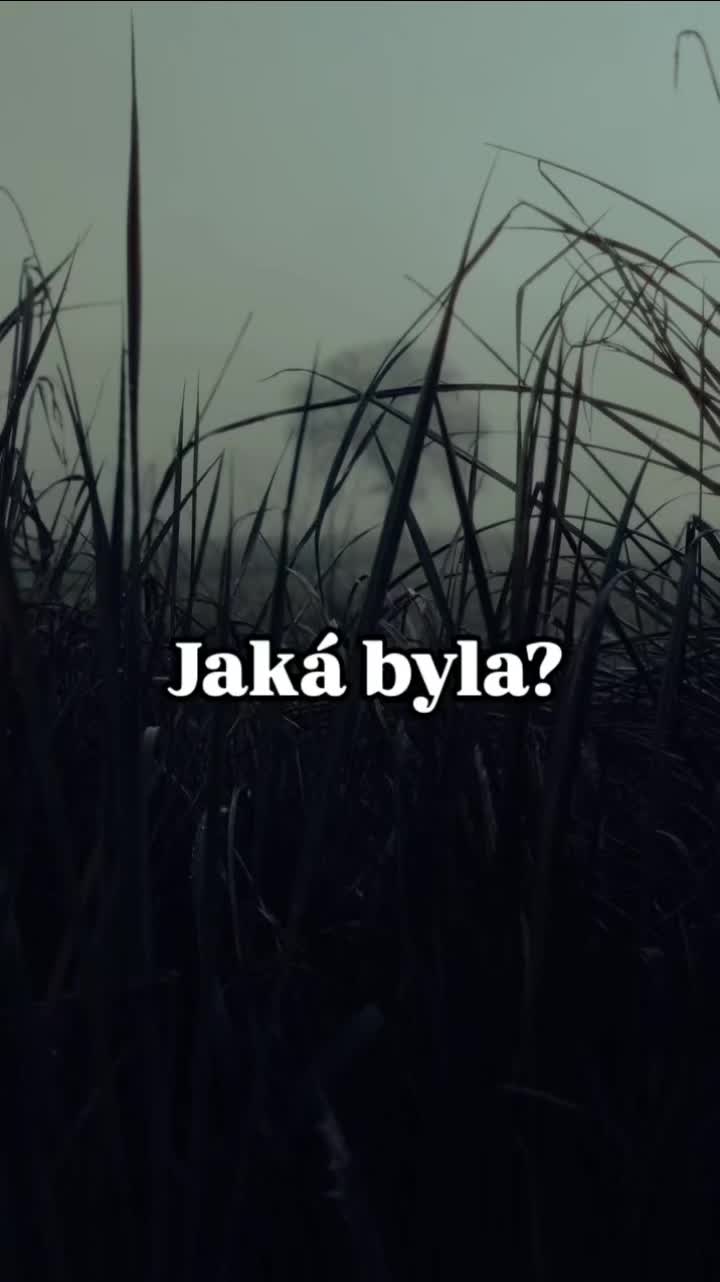 @Deni K