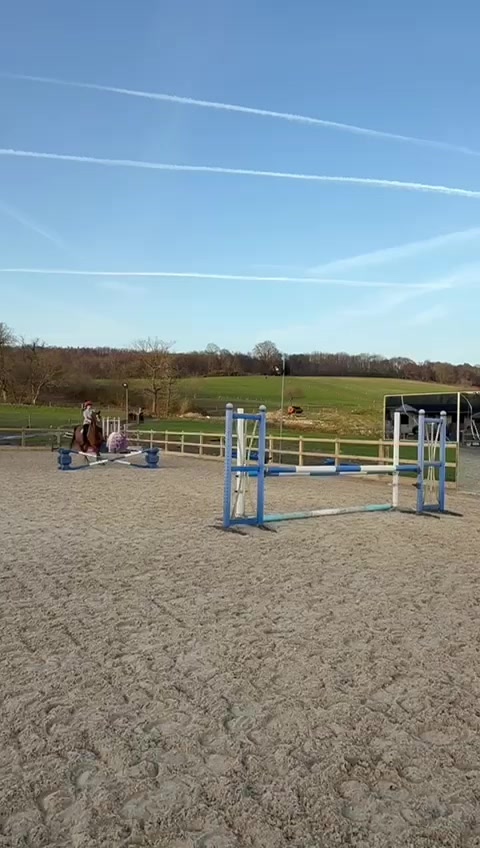 @Ruby🐴