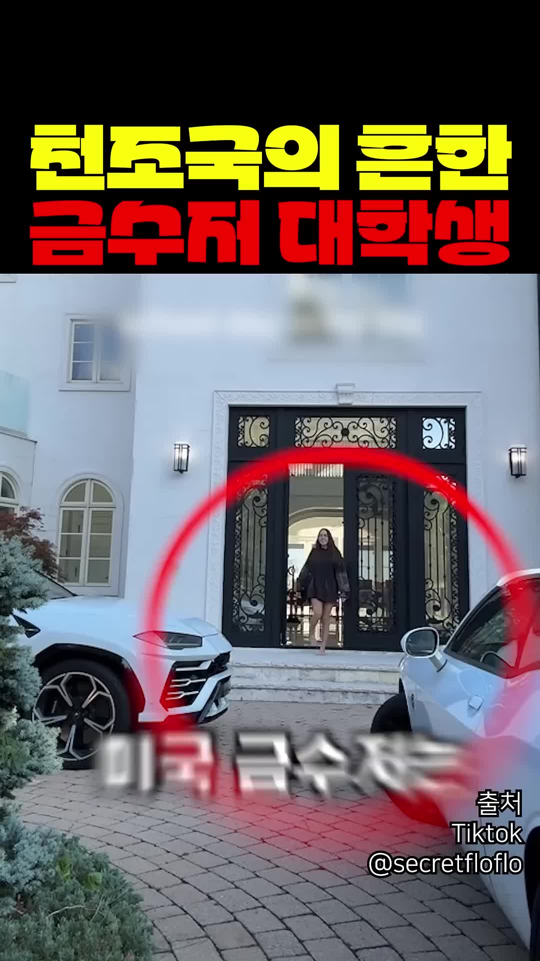 @짱아까미