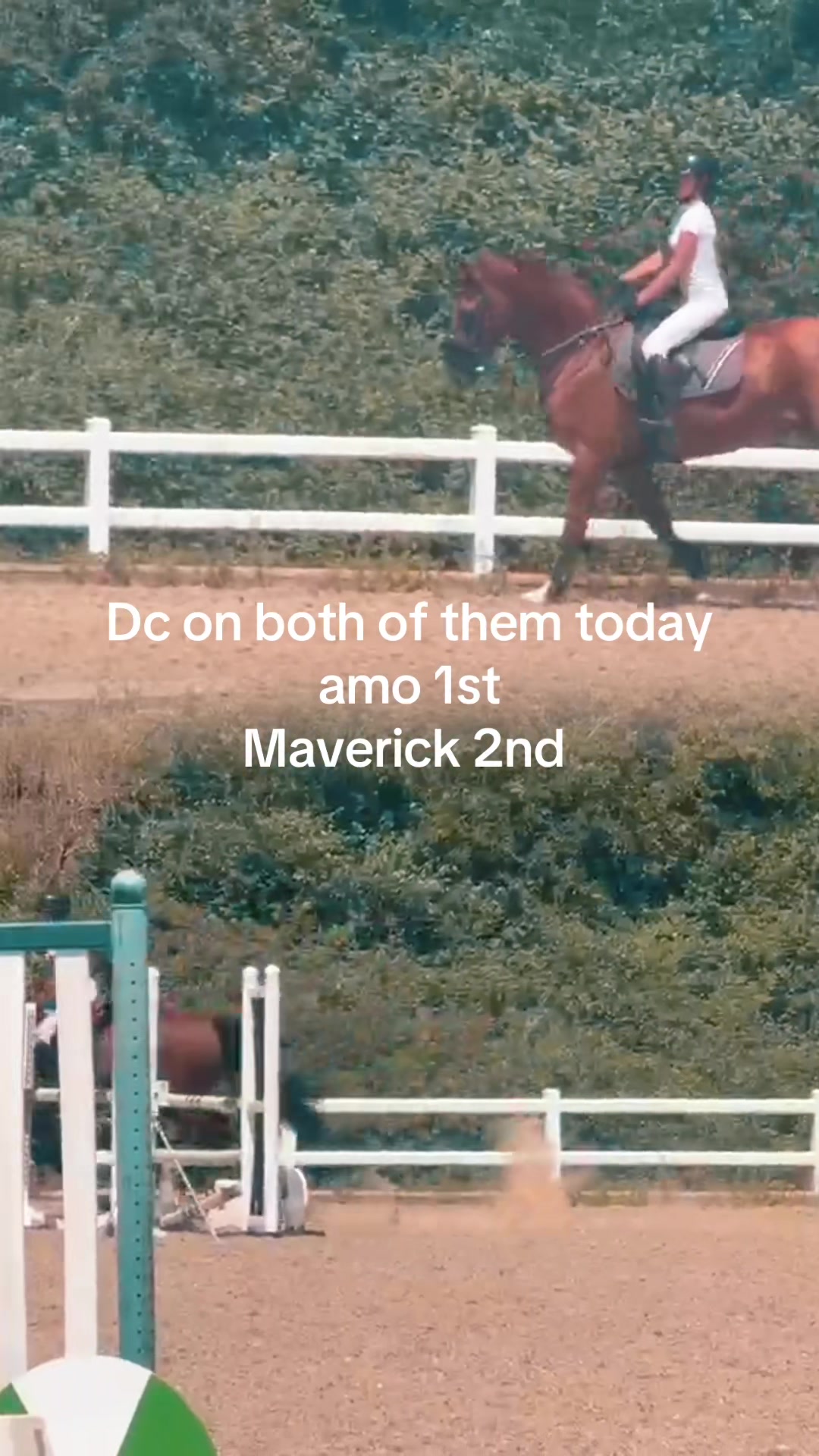 @Ronnie moore's showjumping
