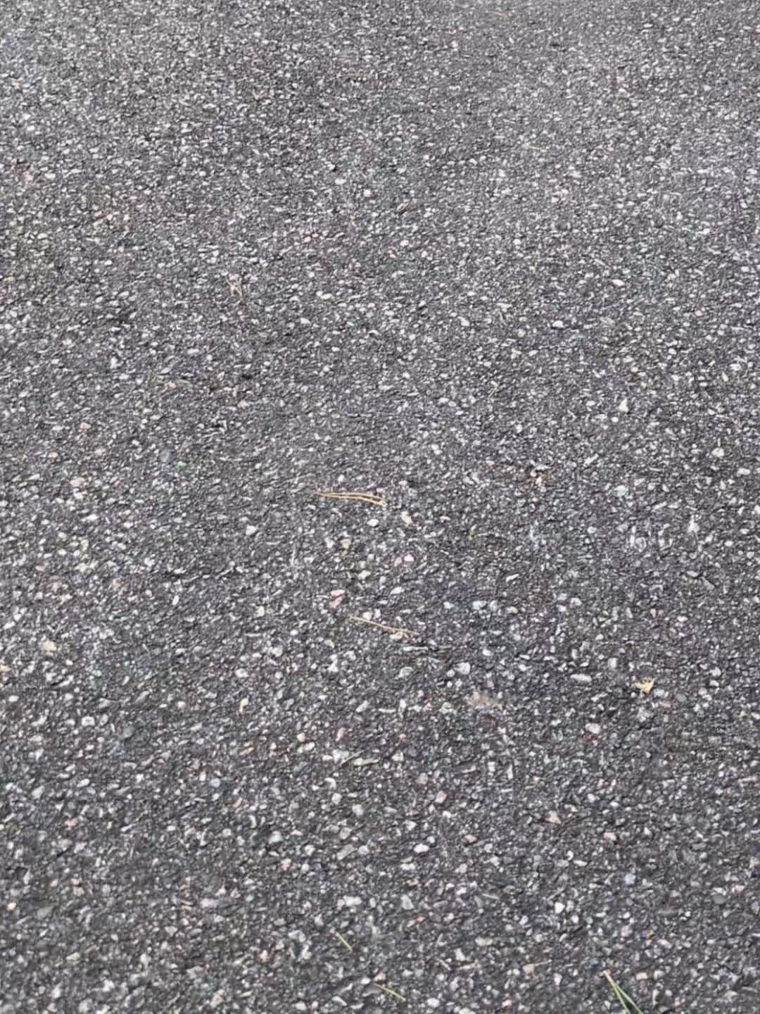 @Speedy.Sx