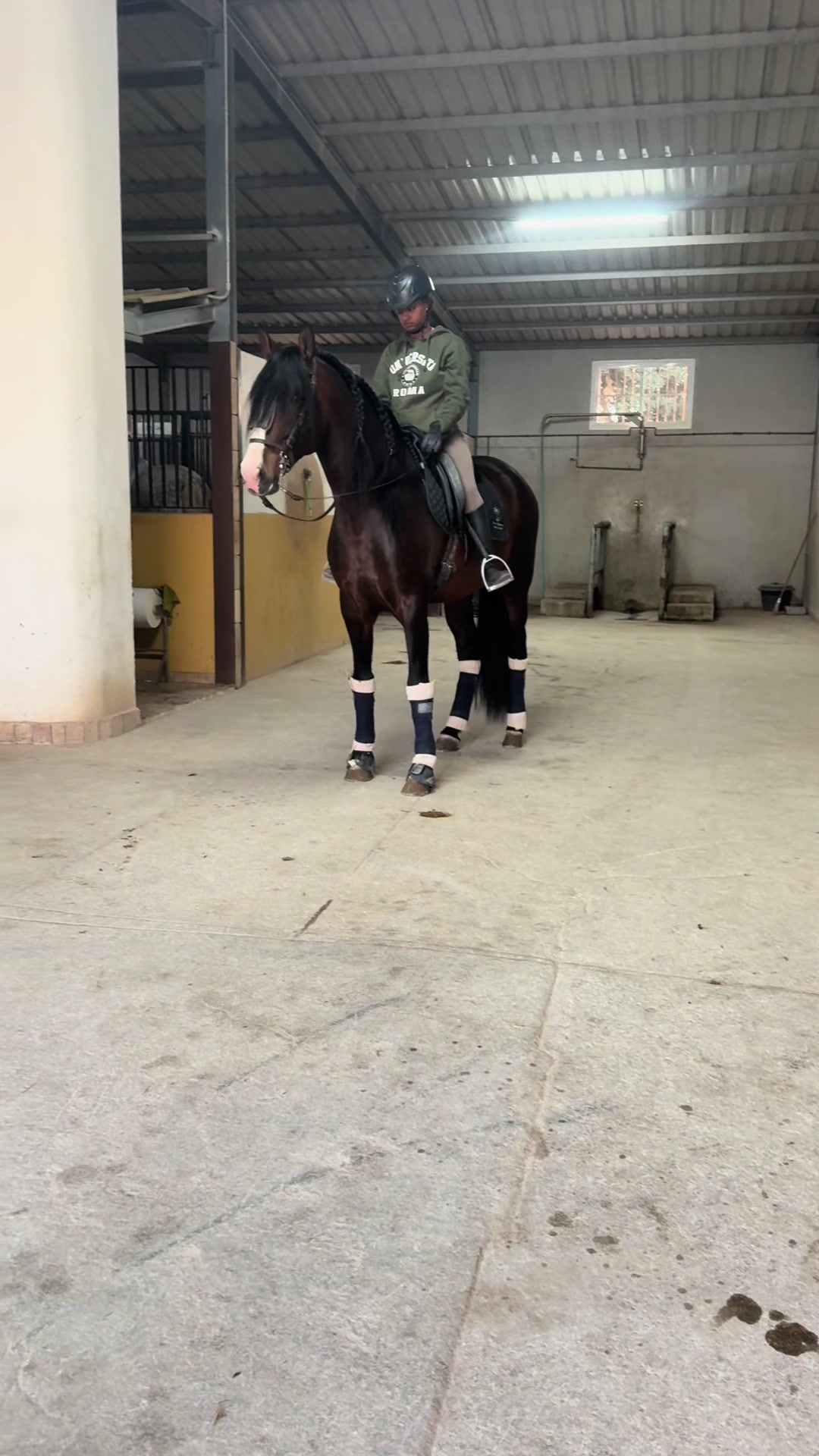 @heredia91caballos