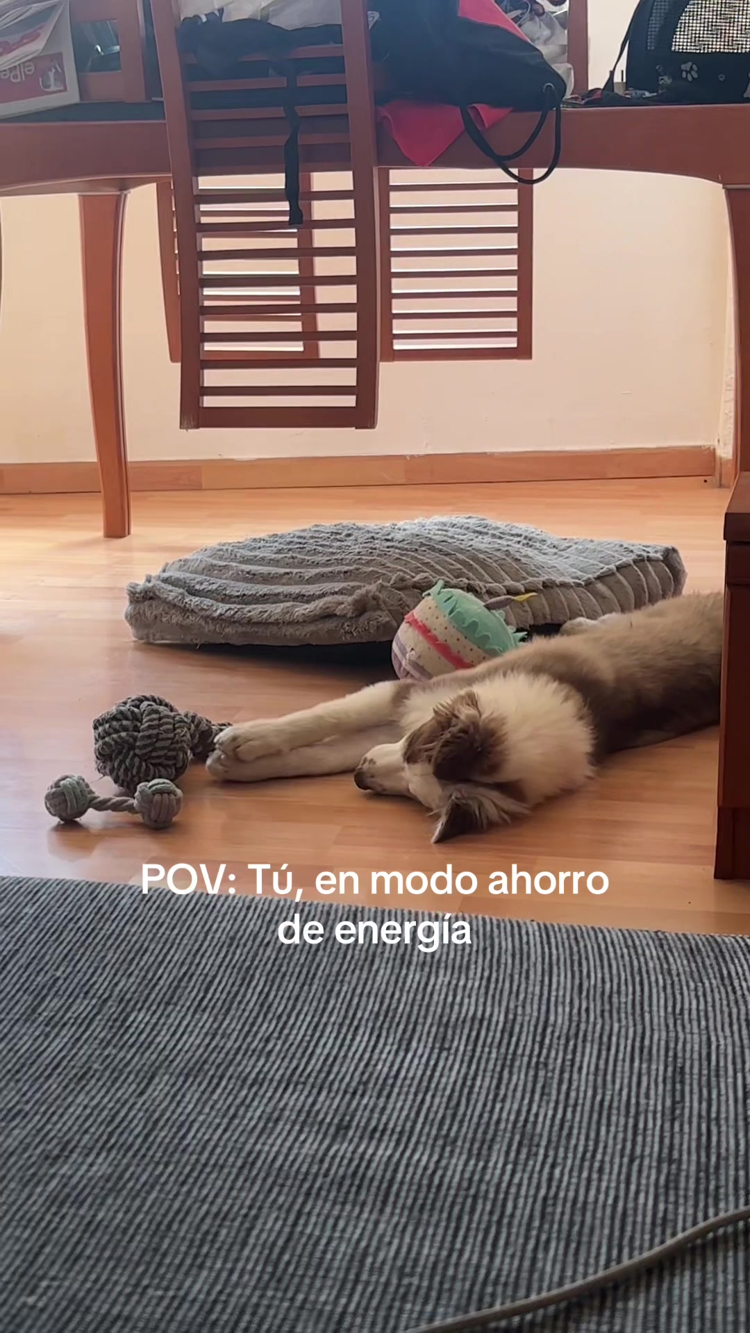 @🦁Martiita🦁