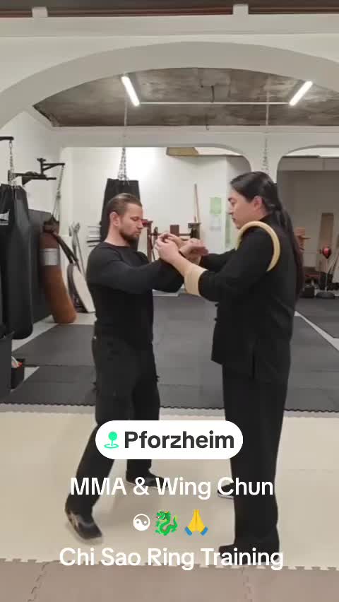 @TaiChi_Wingchun_PF