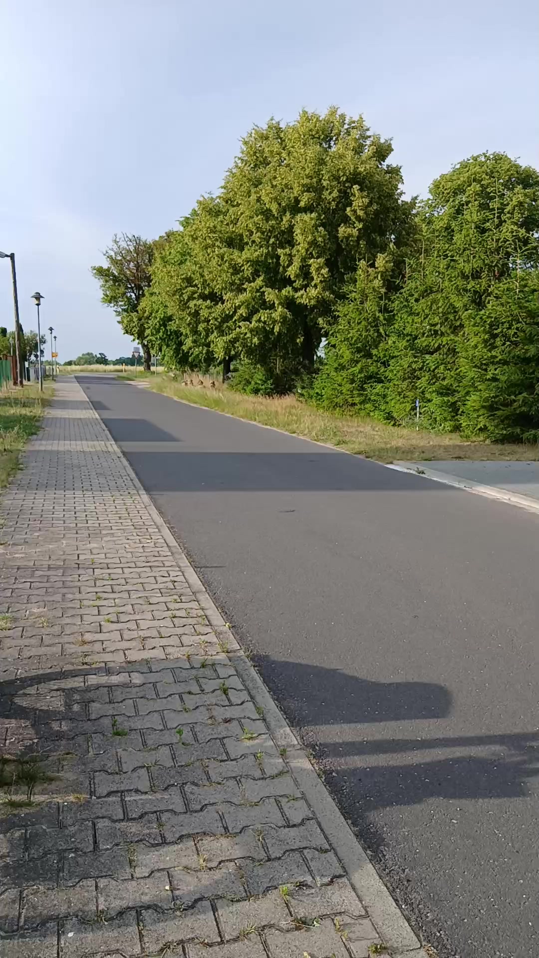 @Kr50_Maximilian