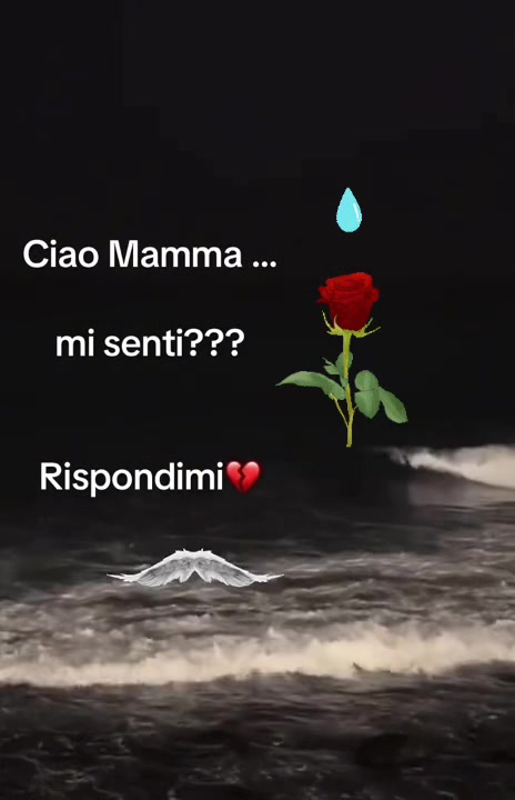 @Lu67🌸