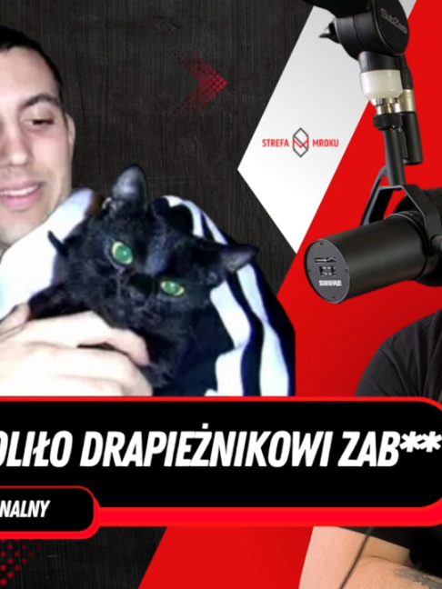 @STREFA MROKU