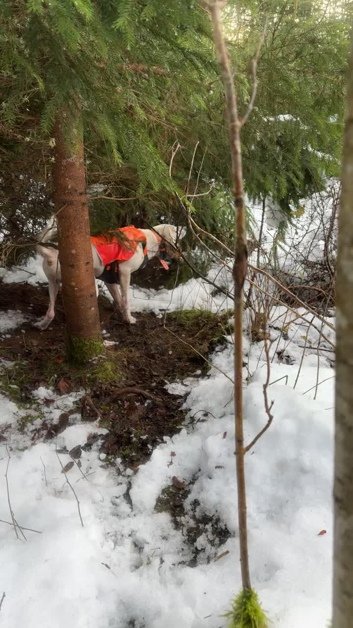 @linusolsson09