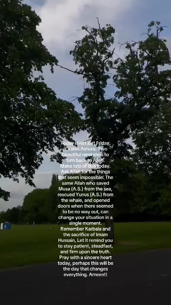 @No Doubt🕊️