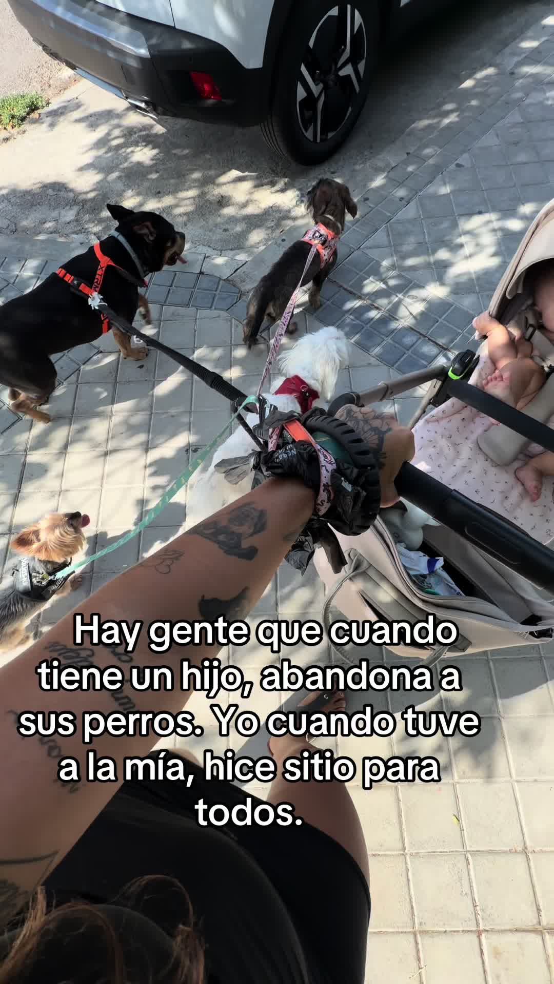 @Sara Palacios