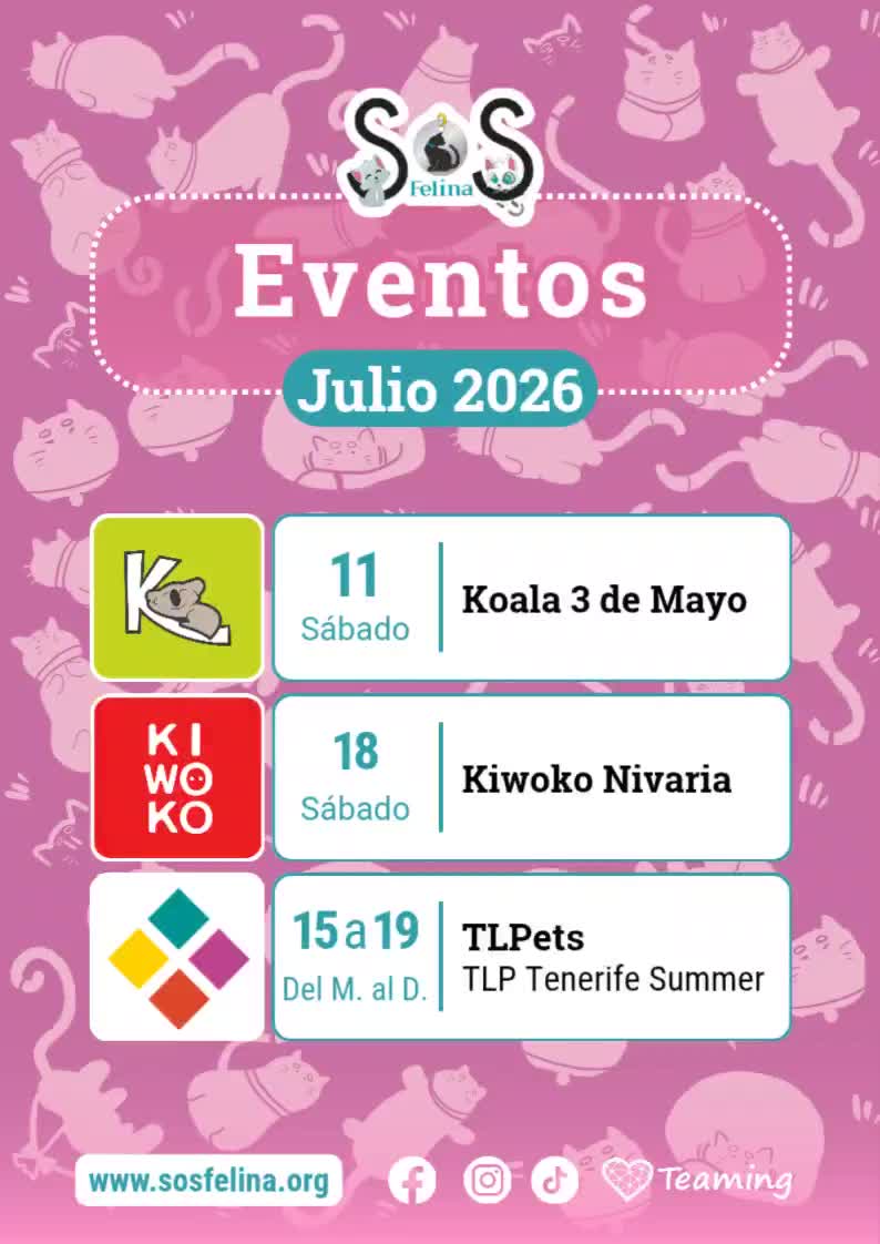 @SOS FELINA TENERIFE