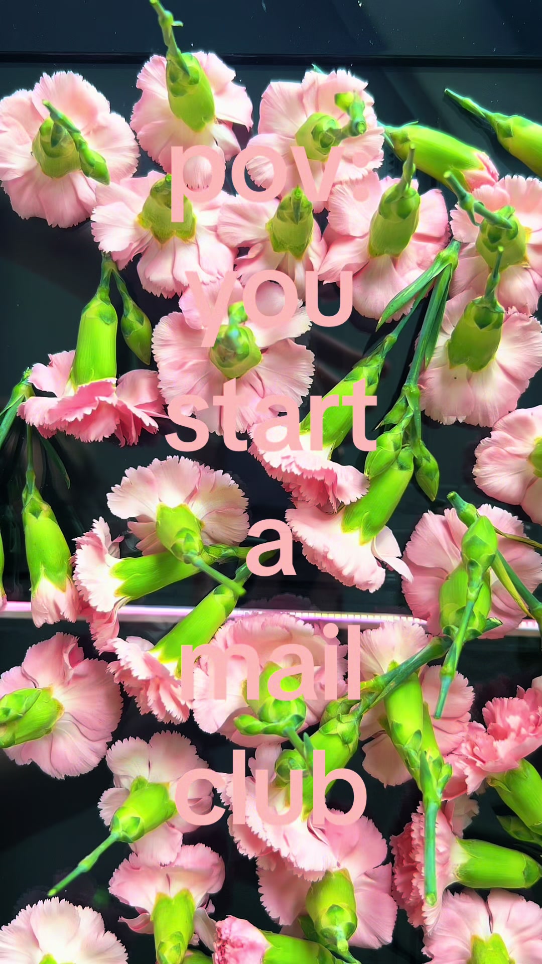 @anya
