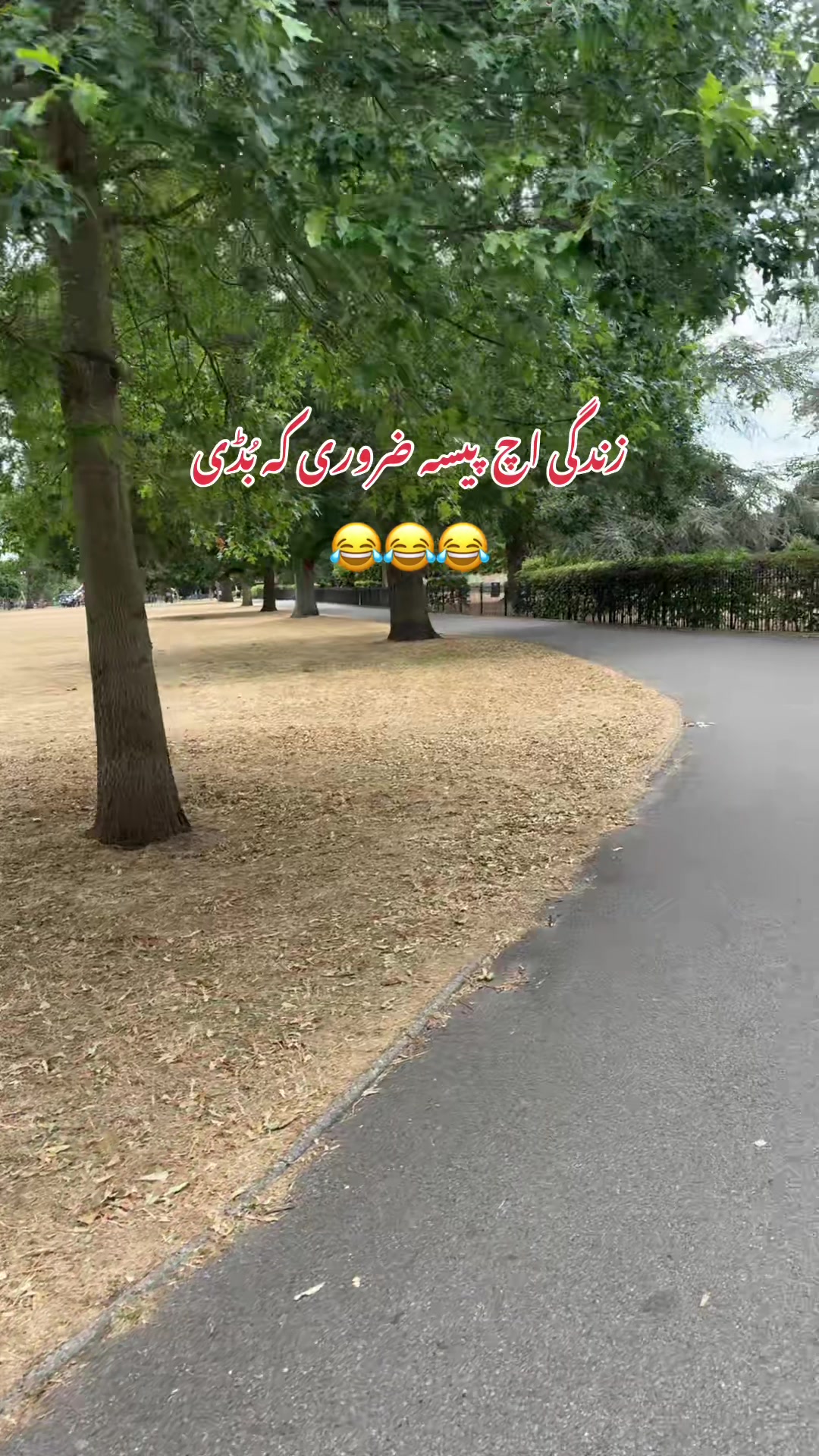 @Mehreen_Ahmed