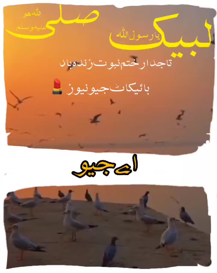 @Uzair edits15