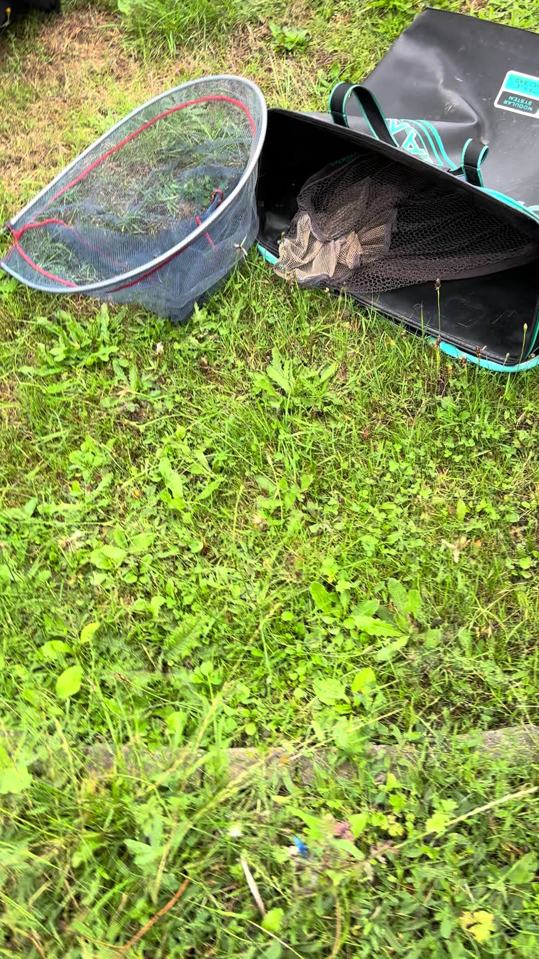 @Rachel Letitia Buck