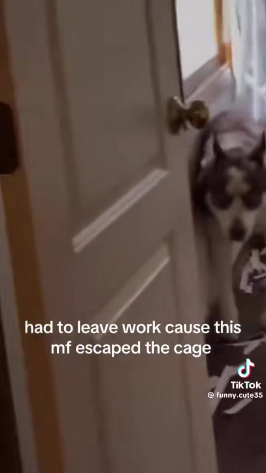 @Dan j