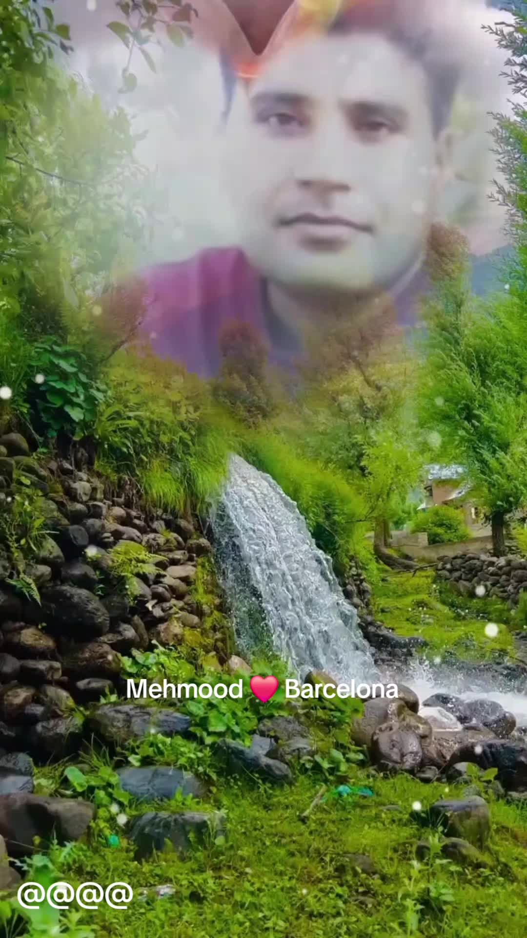 @Mehmood