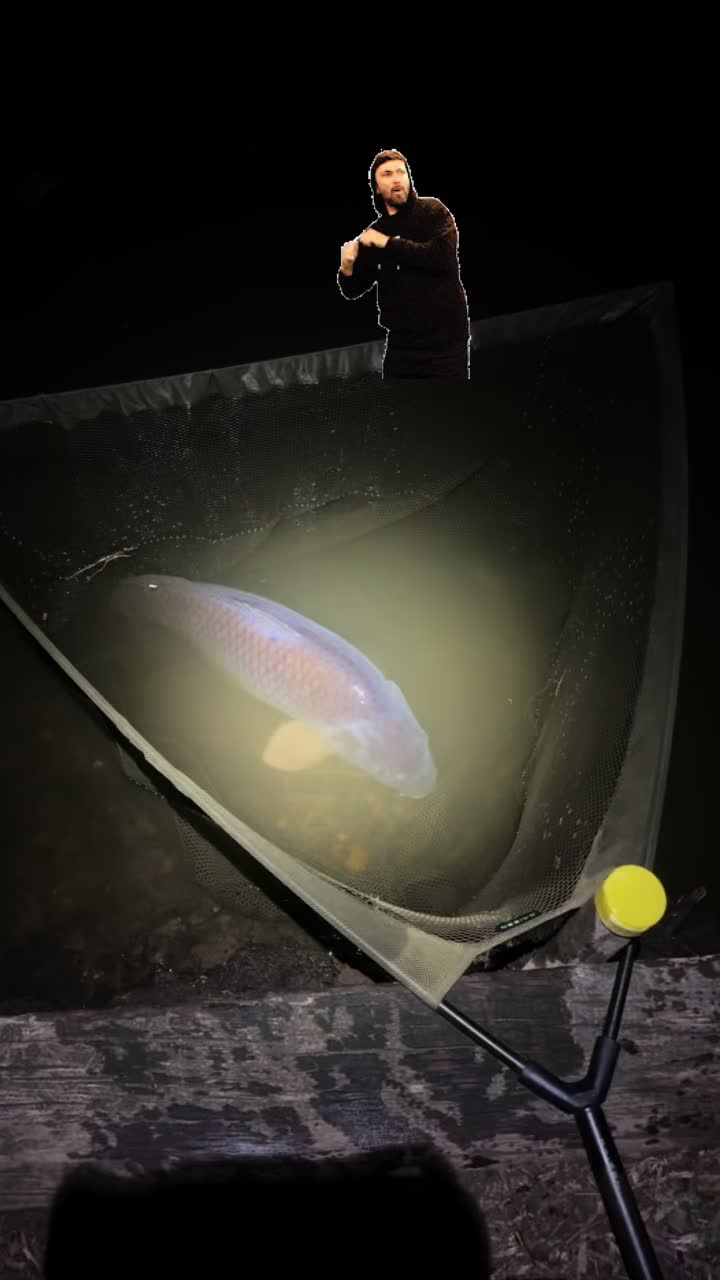 @Carp Norfolk HQ