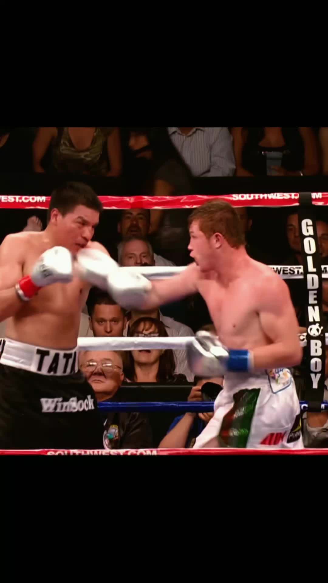 @BoxVision