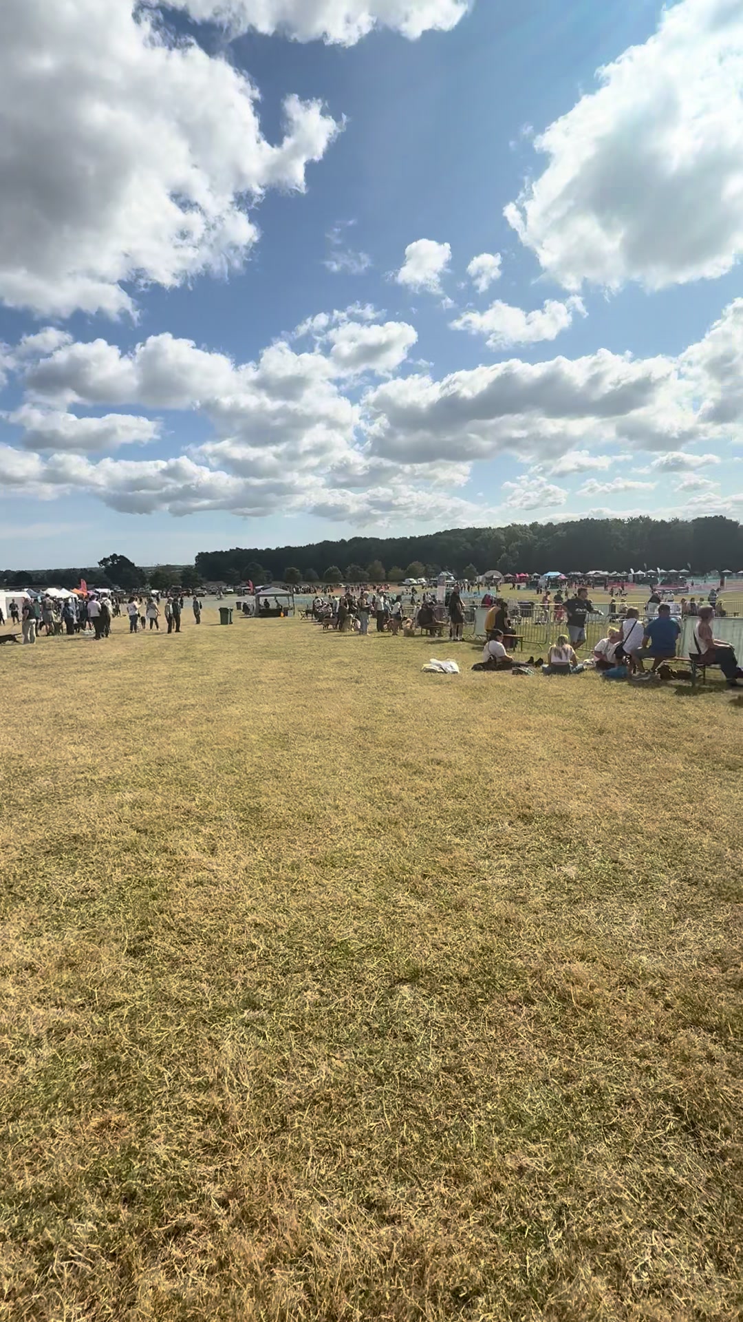@northeastdogfestival