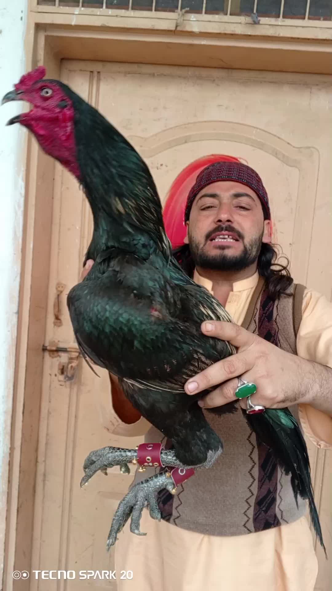 @Adnan Khan Aseel