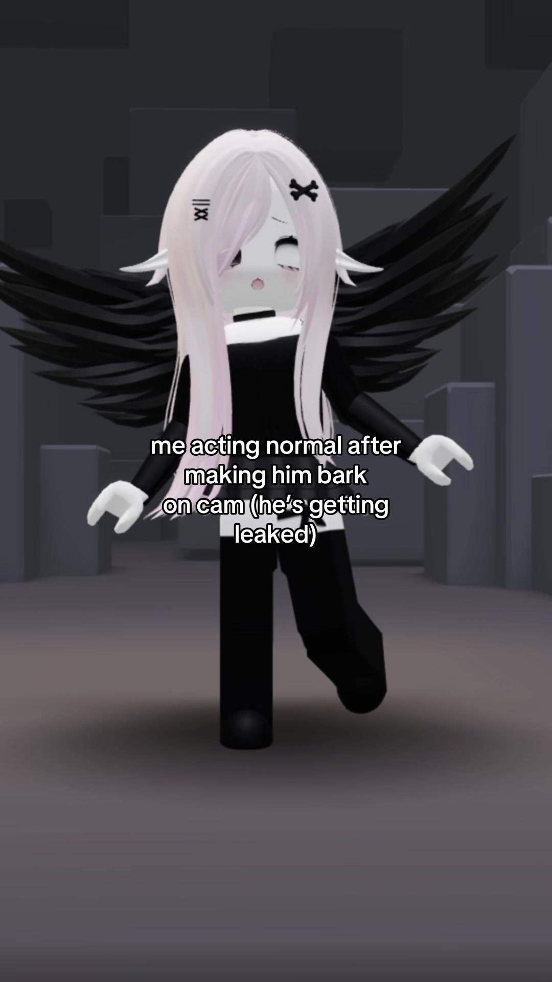@🪽