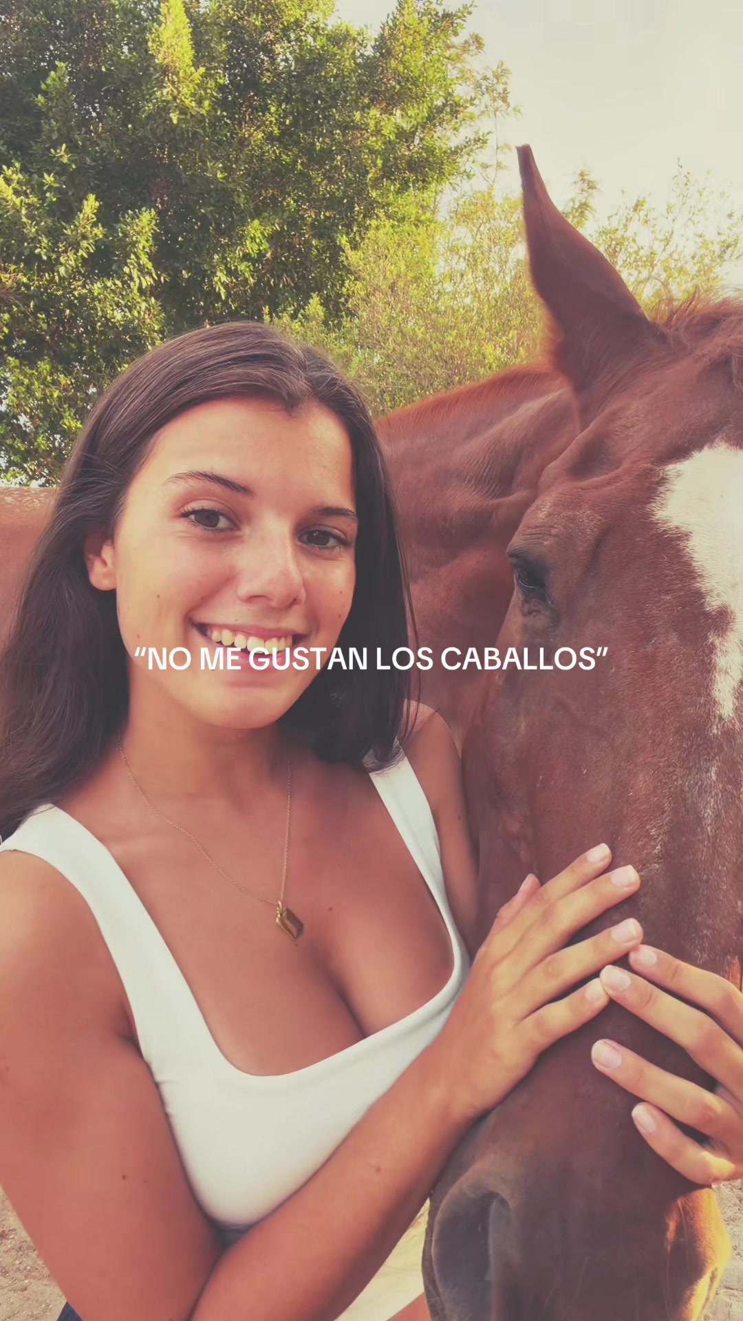 @MyHorse