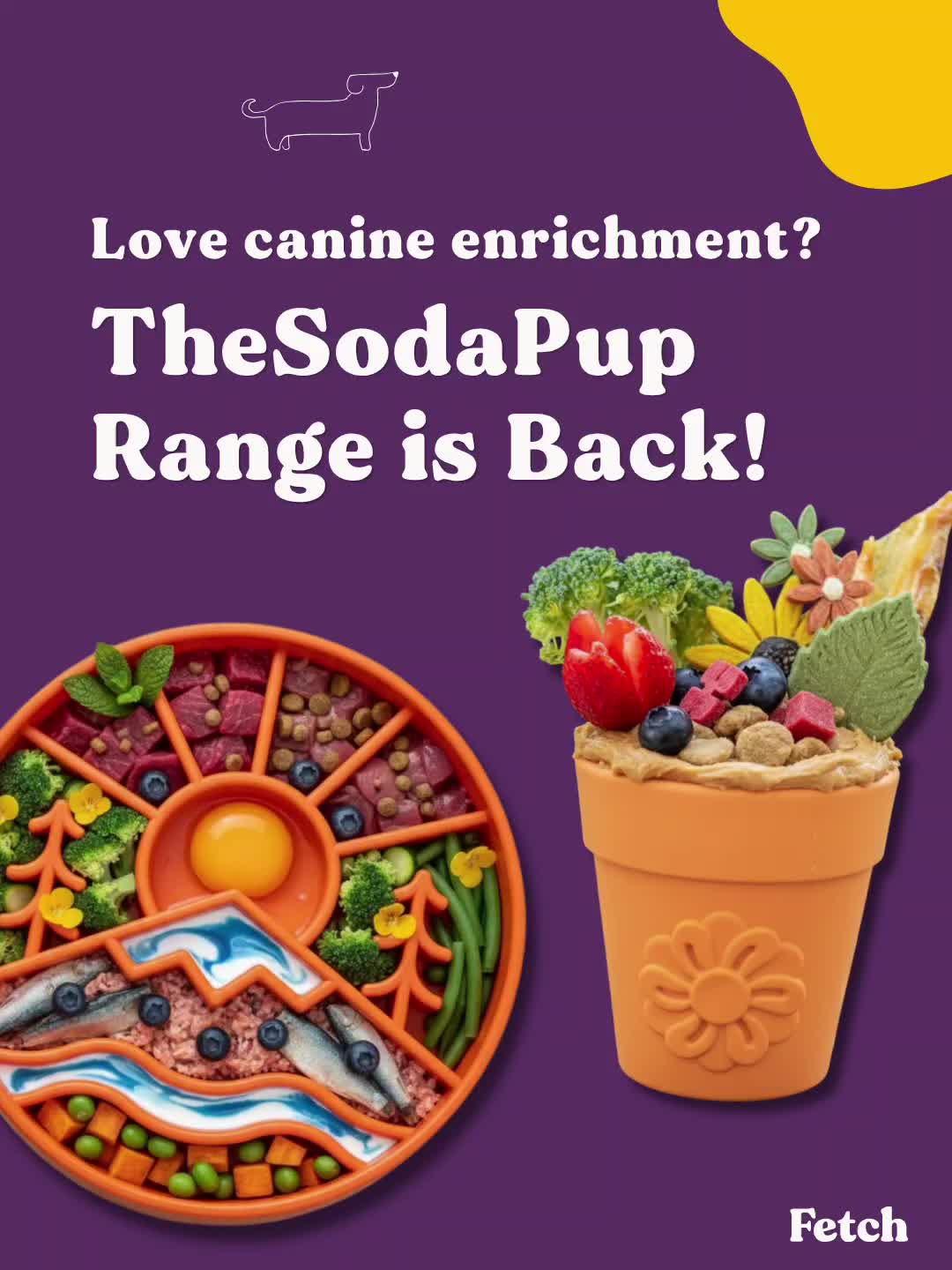 @Fetch Your Pet Needs