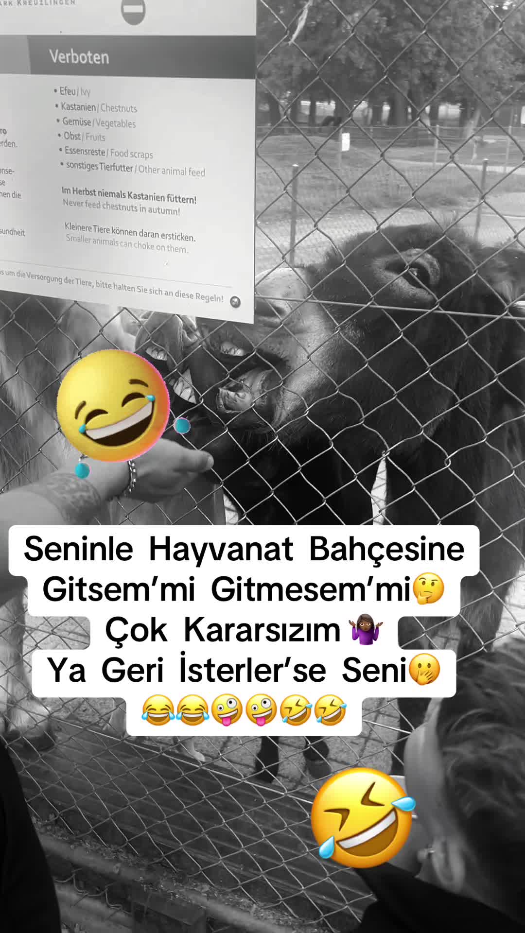 @✨🤍Ayliz_S🤍✨