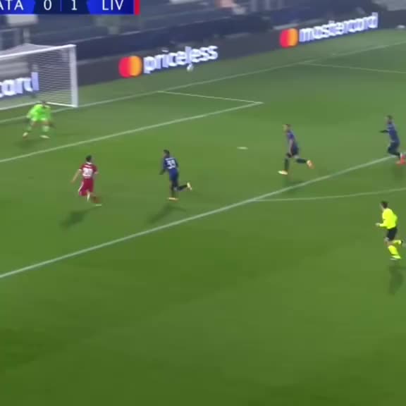 @lfc.hdzy