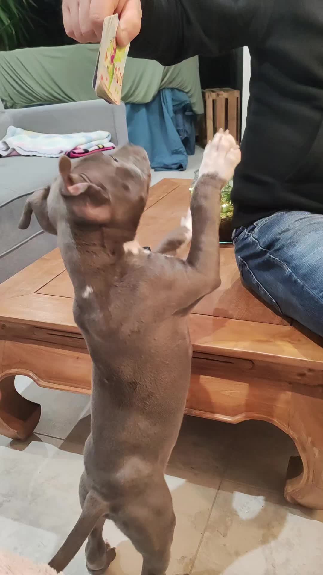 @Asko amstaff
