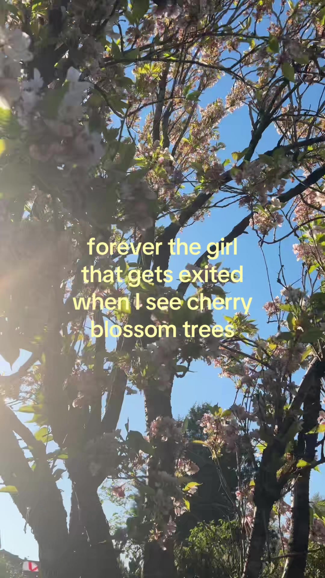 @๐