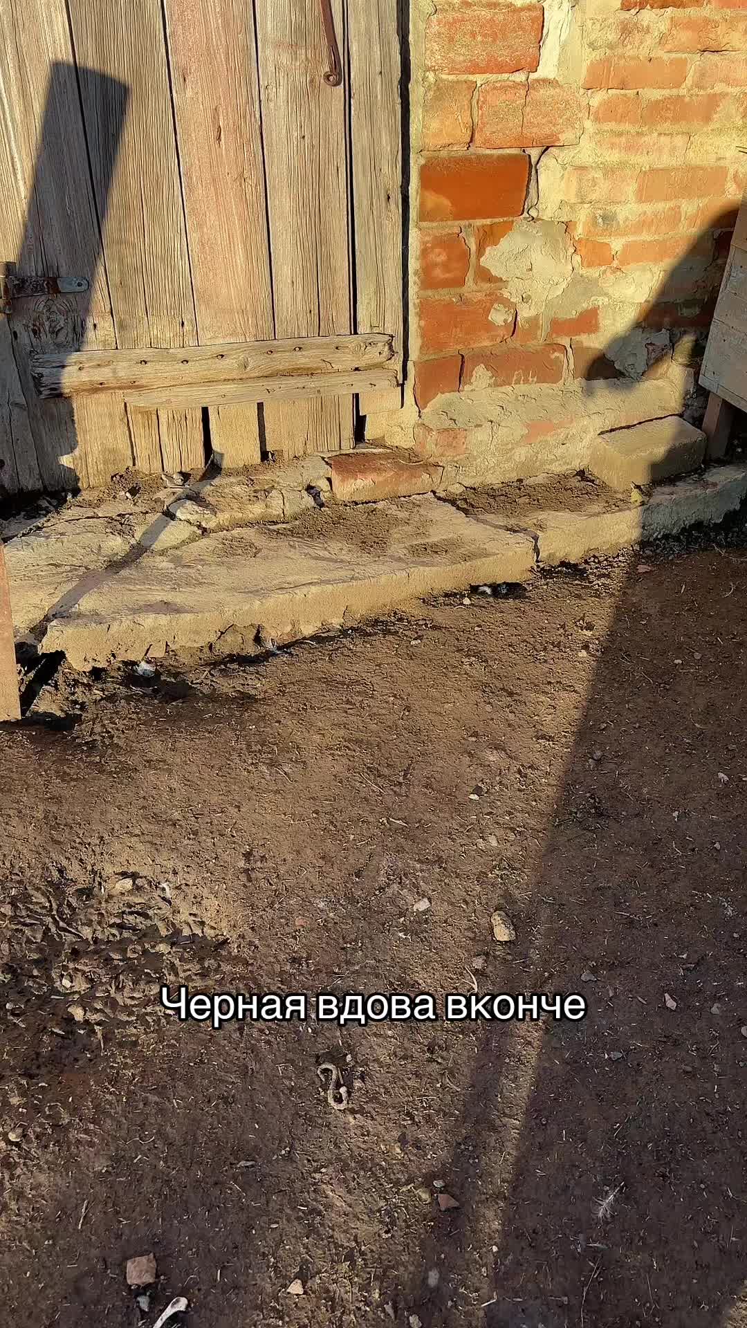 @Ольга Лосивская✅