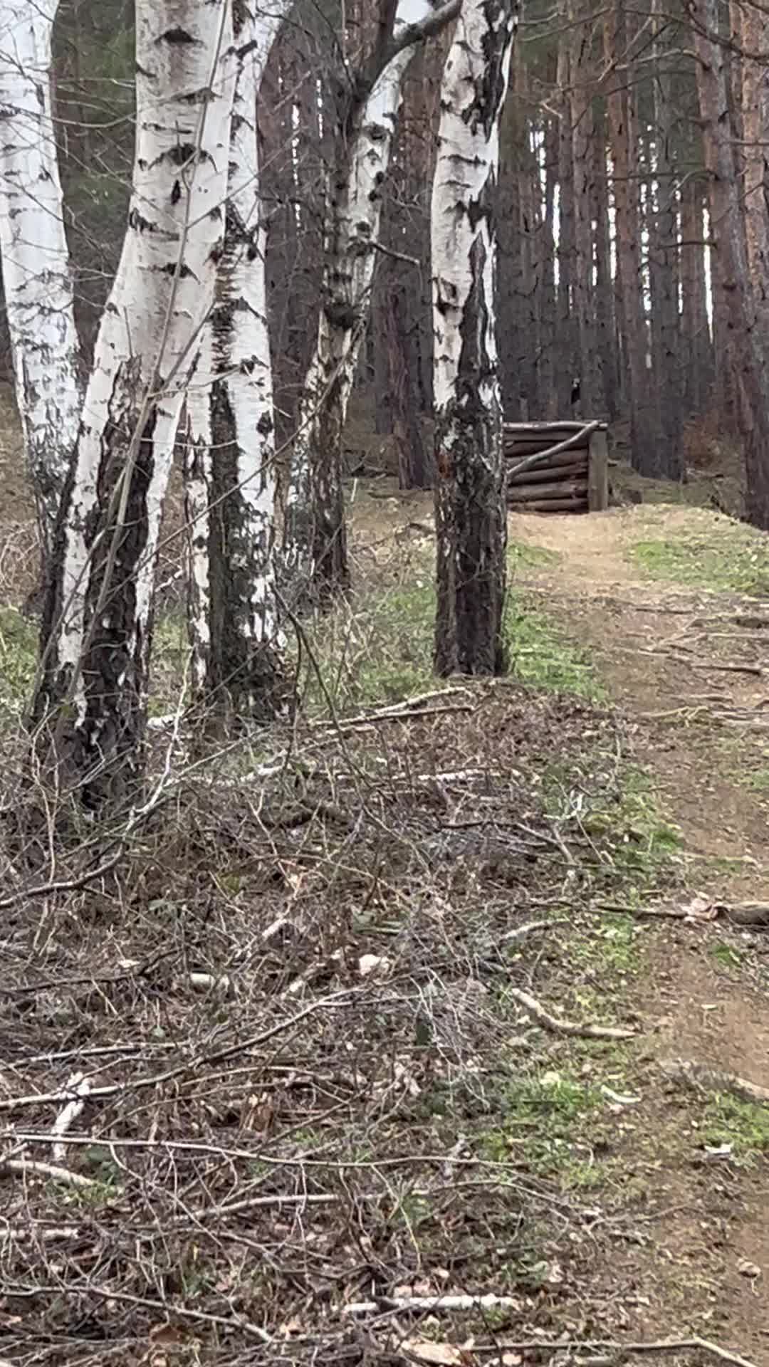 @Кристиан Велков