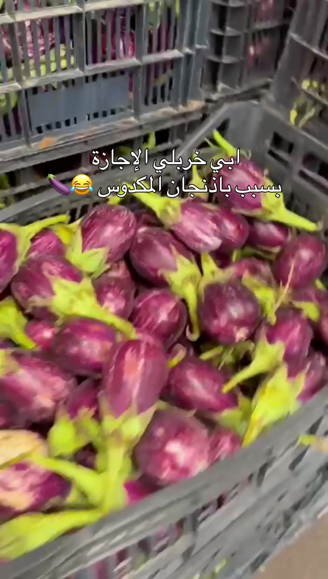 @Al-Arabi Market العربي ماركت