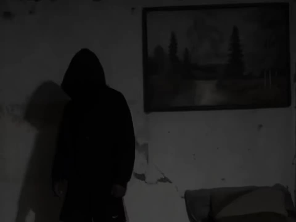 @ZynoxStrike