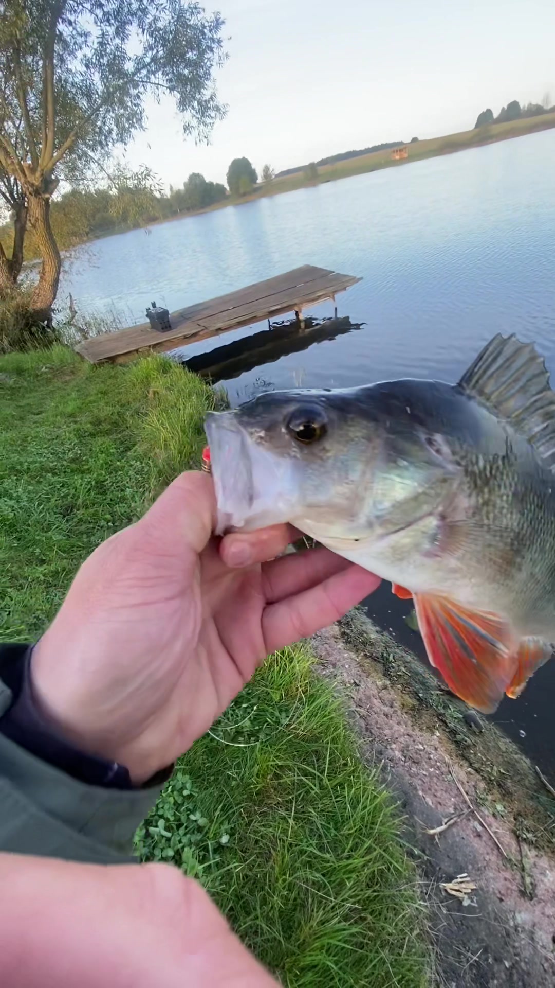 @Ace.fishing