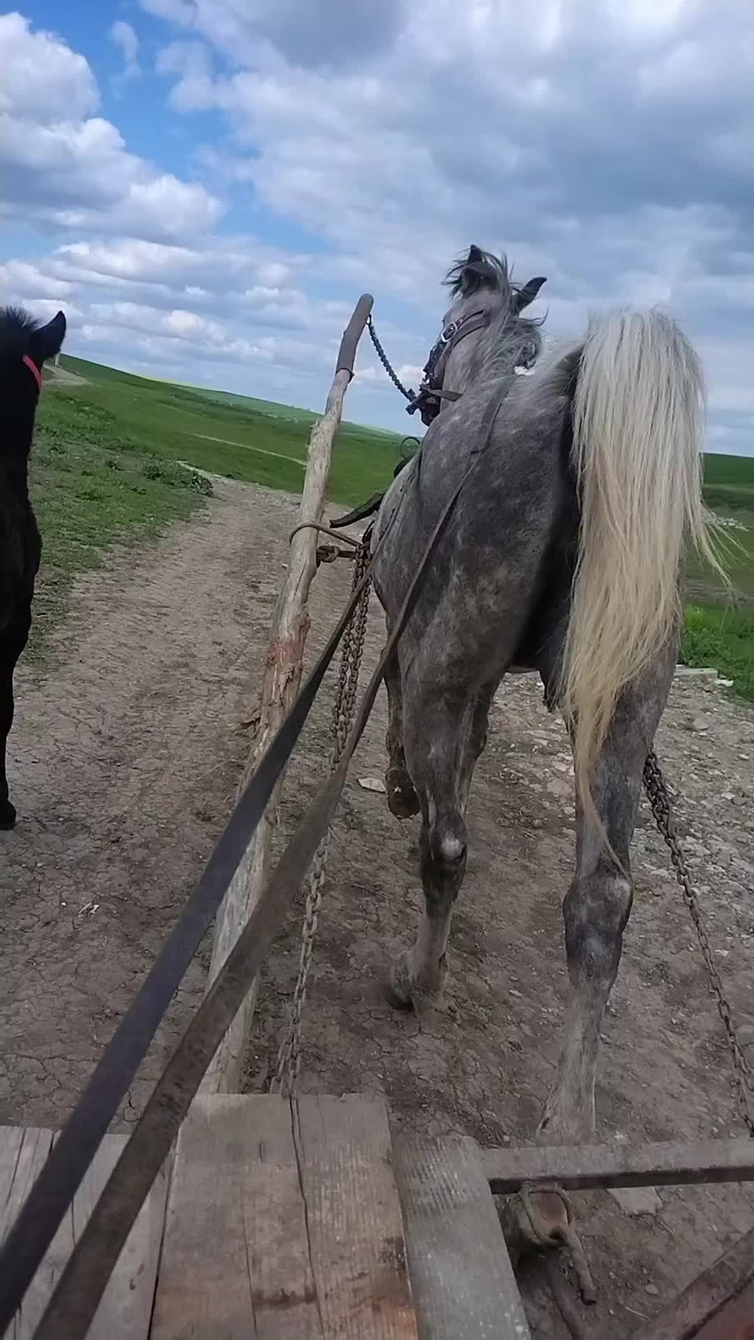 @Andrei rozmalin