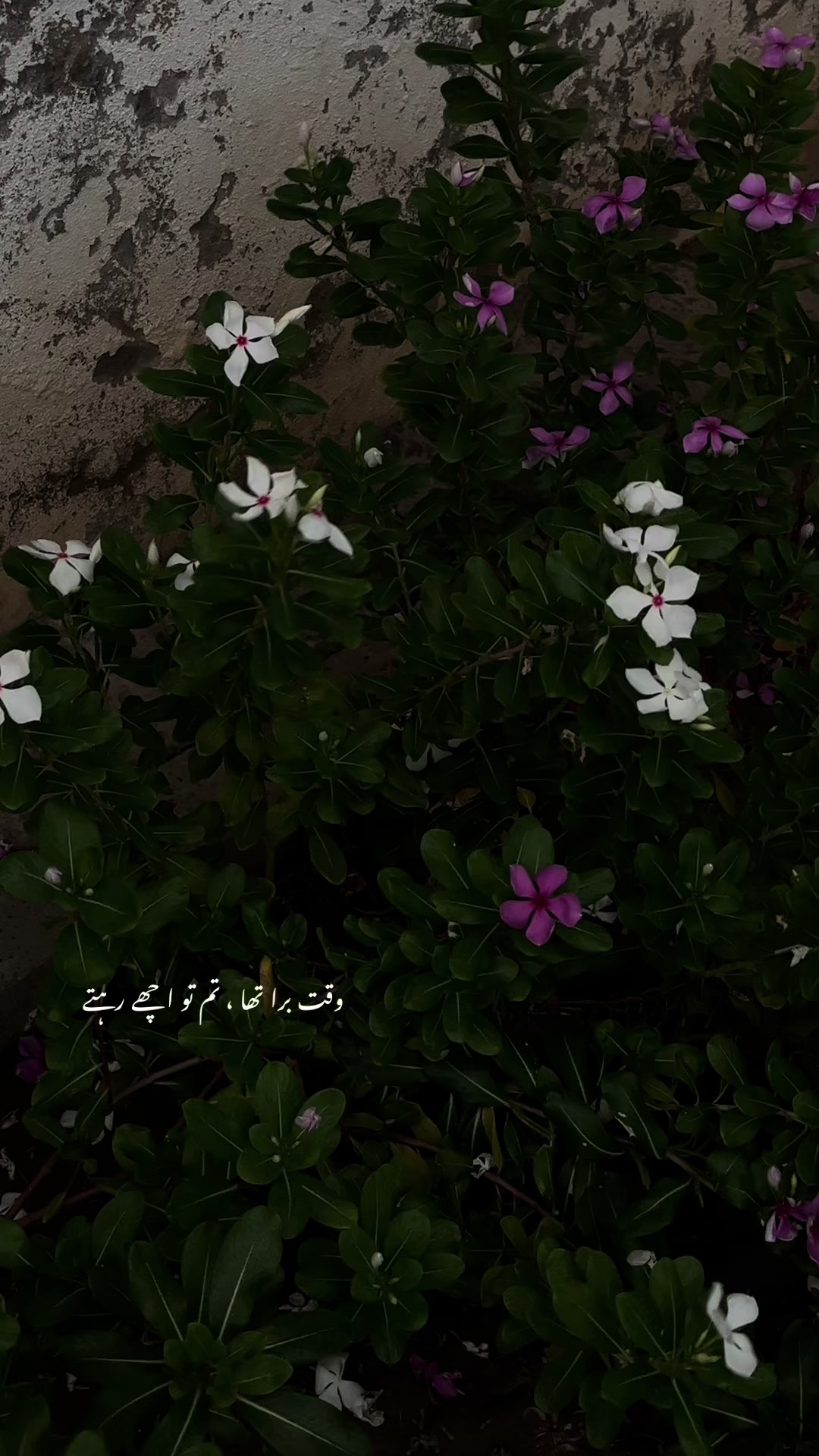 @ؒ
