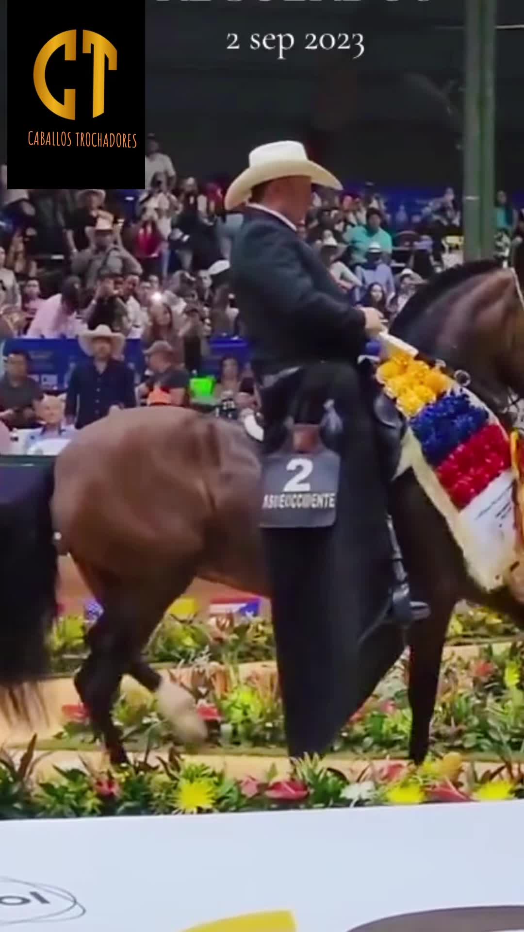 @Caballostrochadores