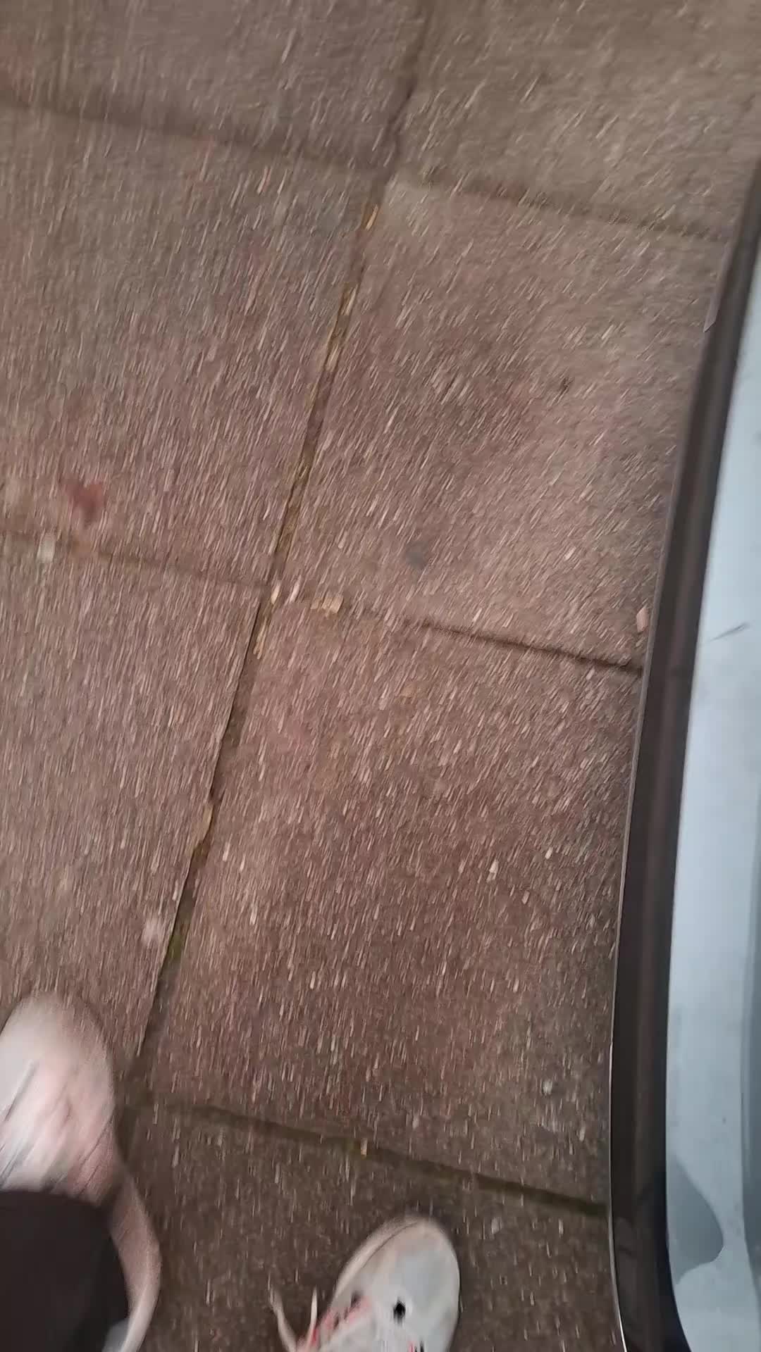 @🇹🇩☦️
