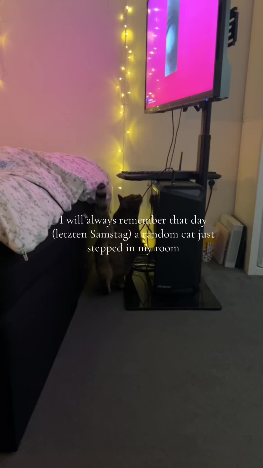 @L E N I