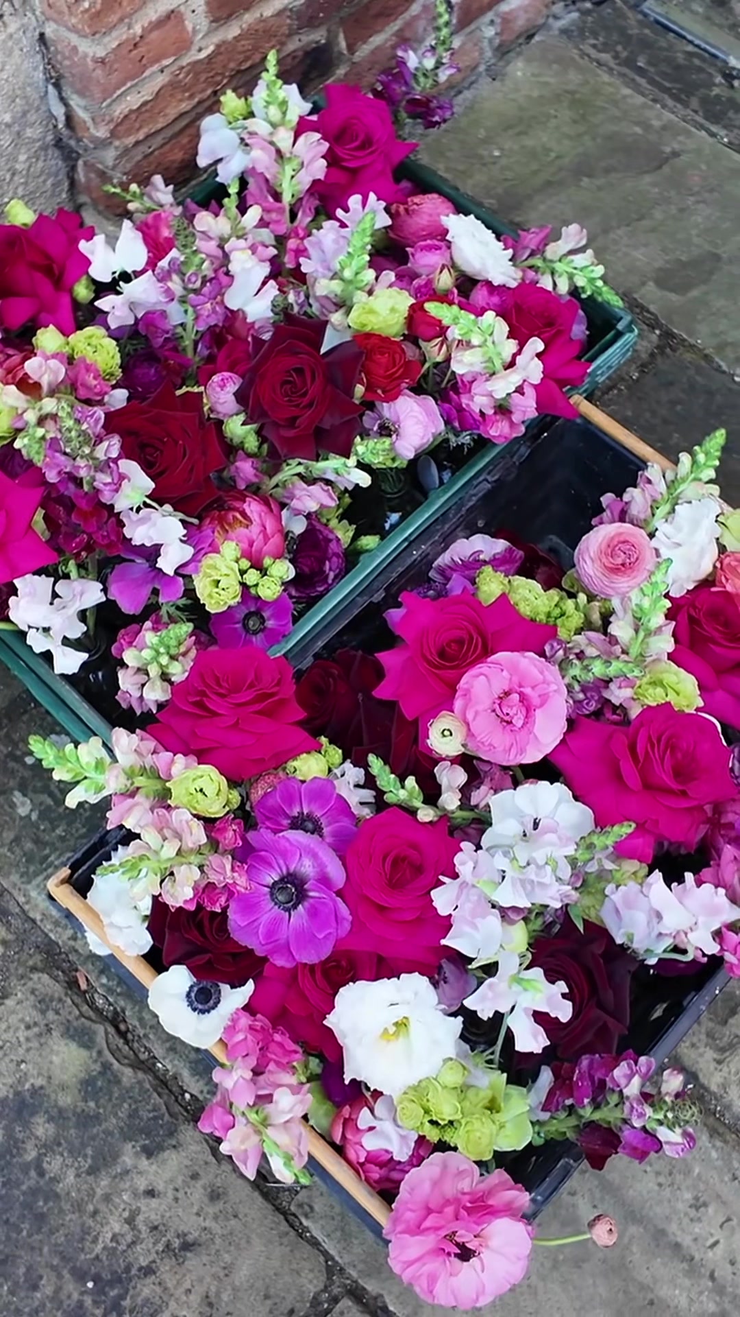 @Lily Cora Flowers 🌸