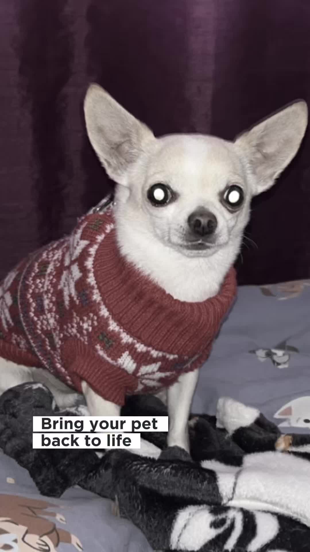 @🐶🪽Jess 🐶🪽