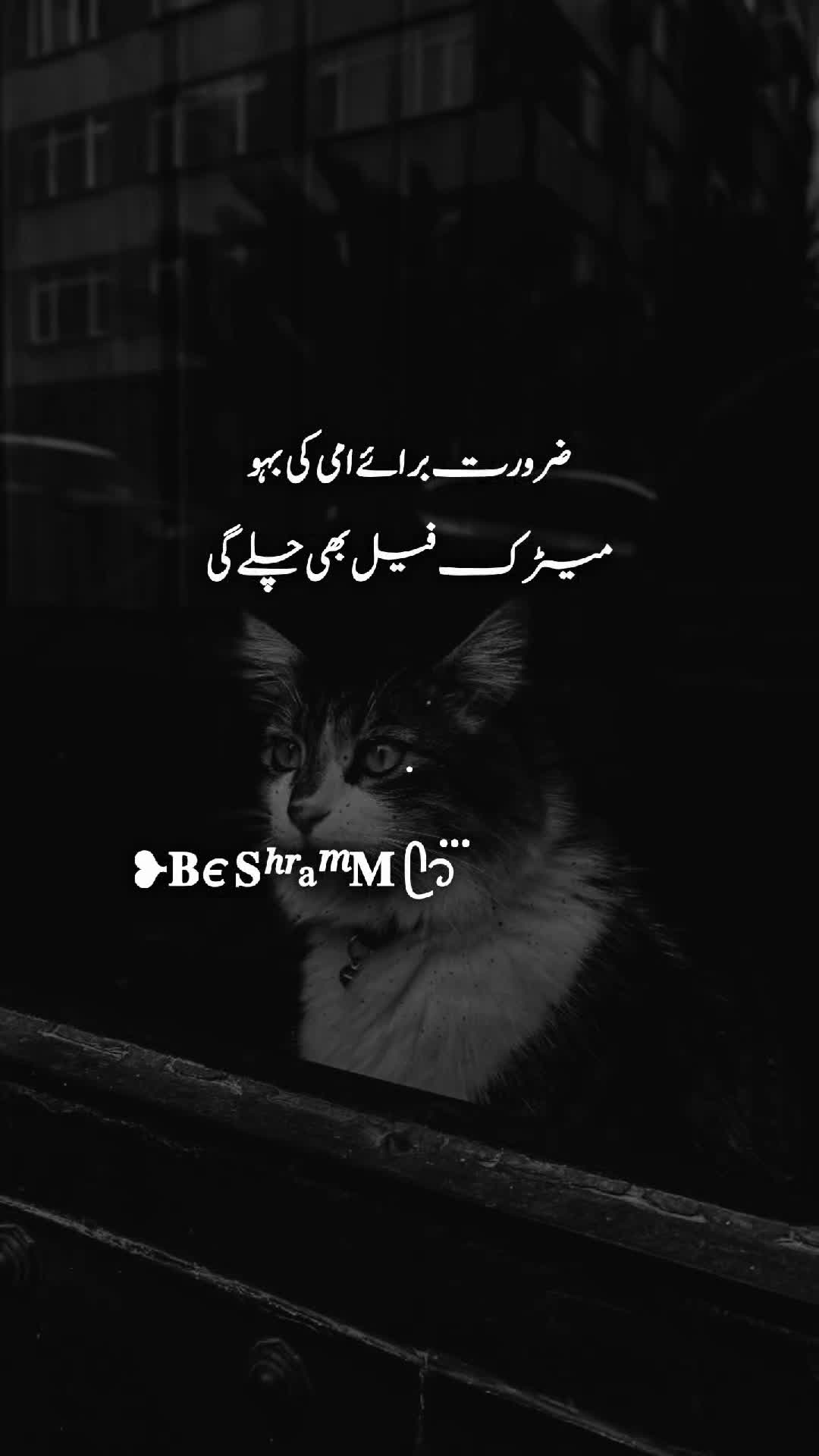 @❥𝐁є 𝐒ʰʳaᵐ𝐌 ᥫ᭡፝֟፝֟