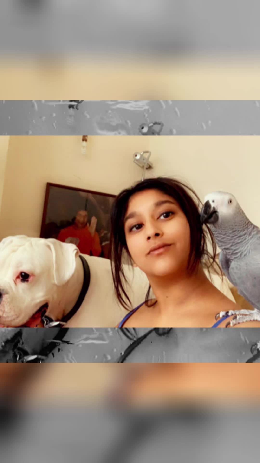 @Rush_Patel67