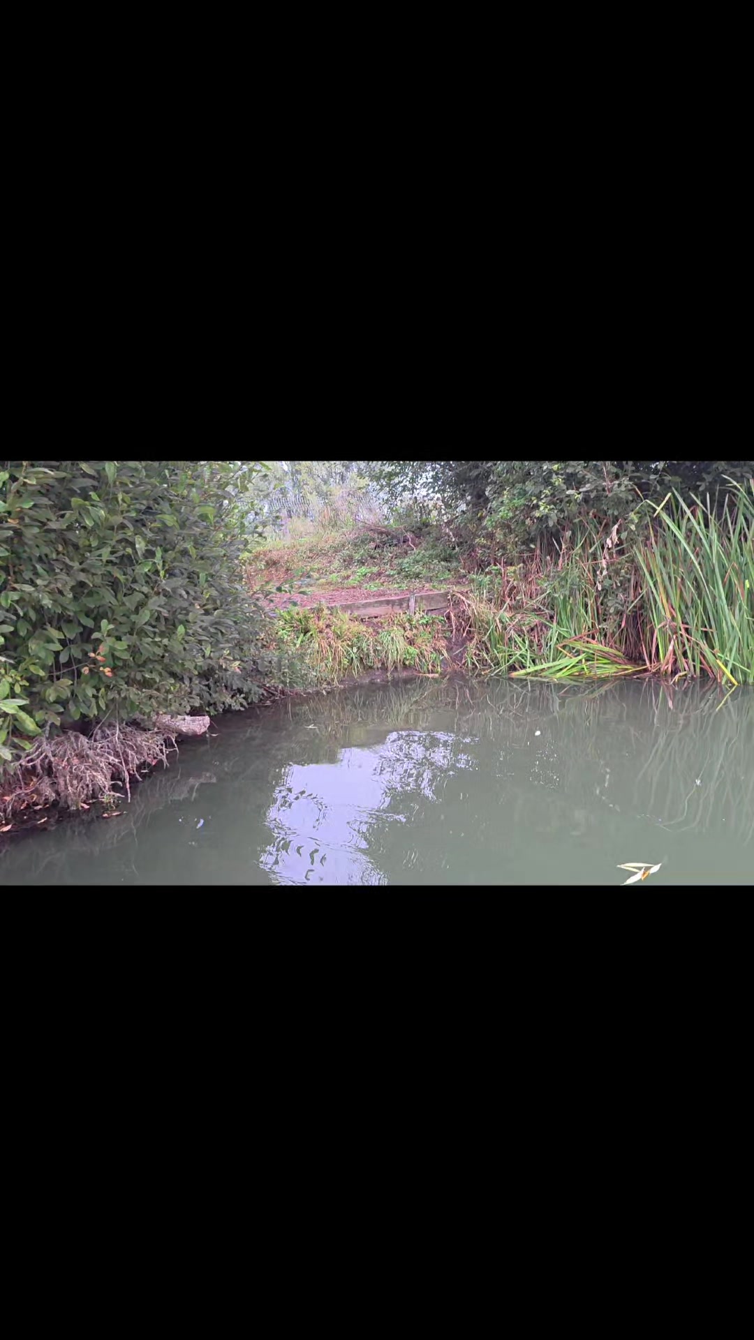 @Carp Fishing TheMillDayticket