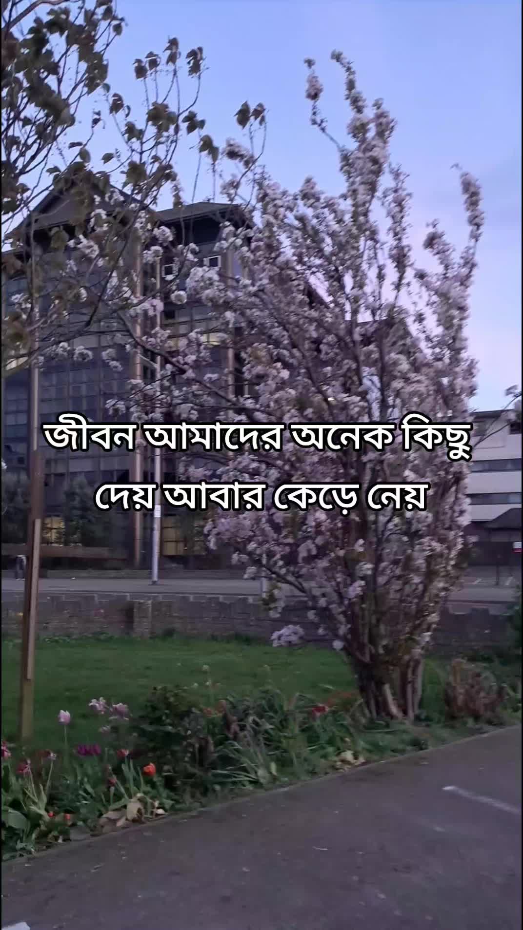 @MS khan💓