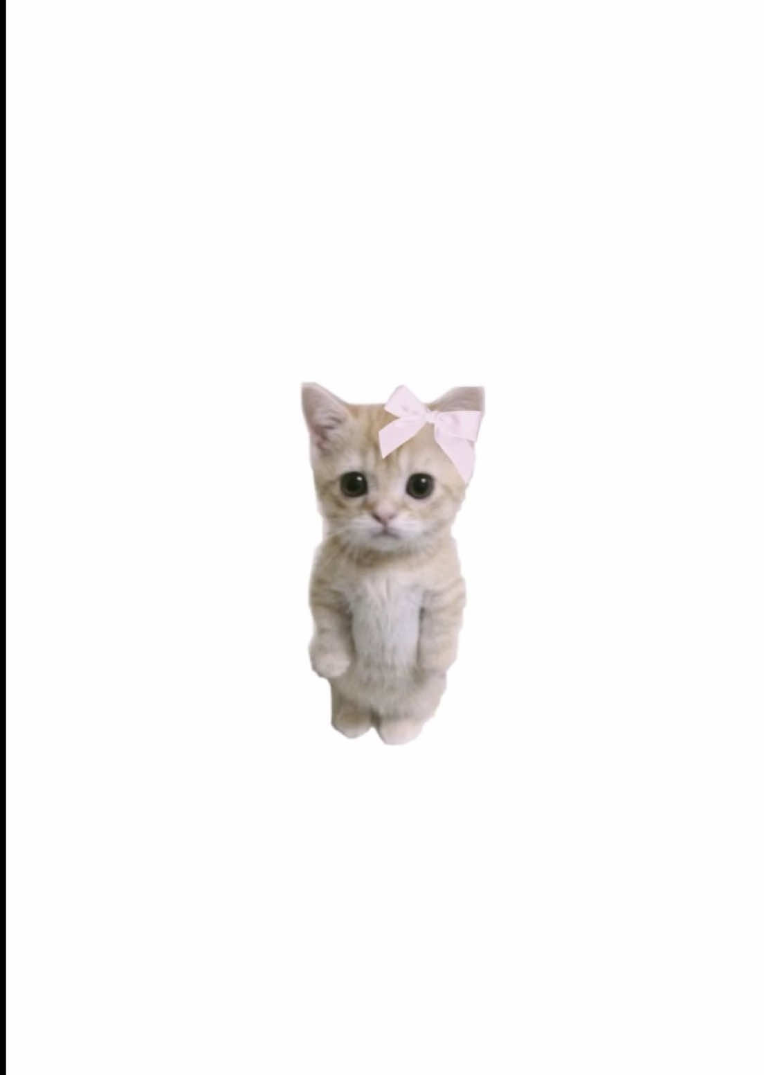 @~ ๐๐ก๐๐ซ๐ซ๐ฒ