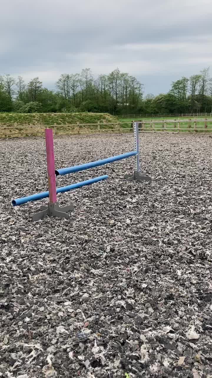@horse
